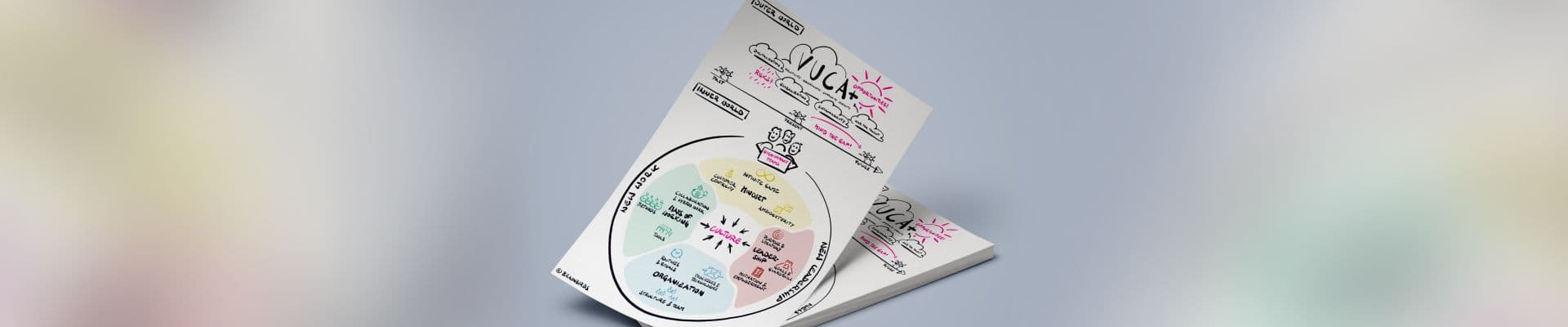 Fokus auf Brainbirds Transformation Framework