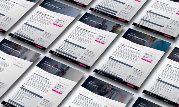 Brainbirds Future Working Skills Brainbirds Future Working Skills