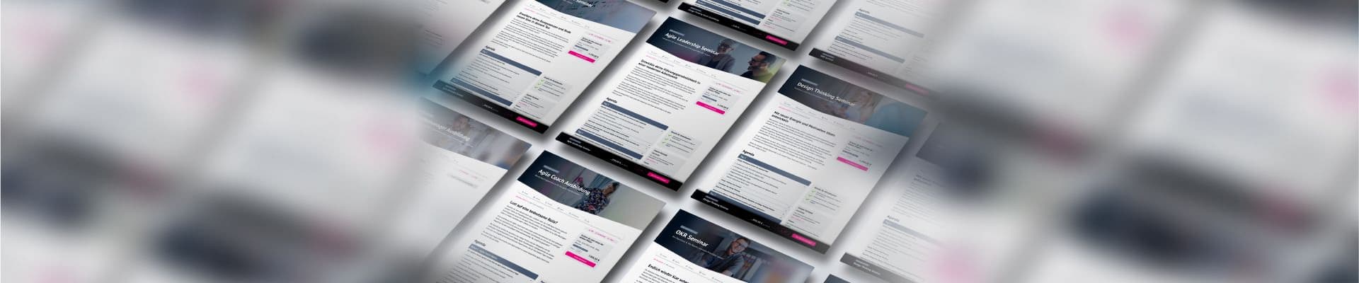 Übersicht des Brainbirds Curriculums